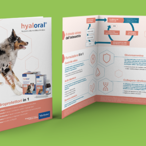 Brochure Hyaloral di Virbac